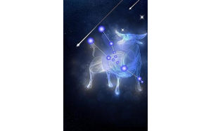 金牛座魔蝎愛跳舞嗎