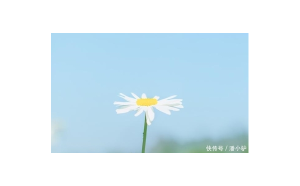 天蝎座放棄一個(gè)人能挽回嗎