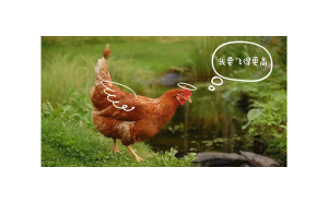 水瓶座會(huì)忘了前男友嗎