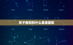 星座雙子座和射手座配嗎