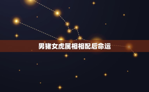 射手座男應(yīng)該主動(dòng)嗎