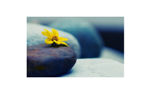 水瓶座喜歡坐飛機(jī)嗎男生