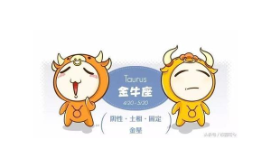 金牛座會接受幫助買禮物嗎