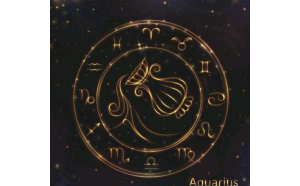 射手座晚上好找對象嗎