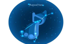 十二星座水瓶座是富豪嗎