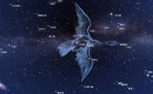 凱龍白羊和射手座配嗎男生