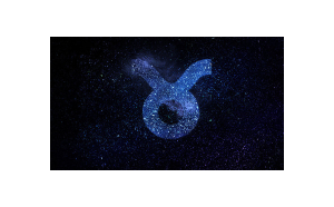 金牛座馬和射手座豬相配嗎