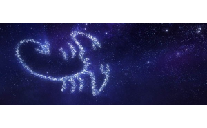 不熟悉的天蝎座男生會主動嗎