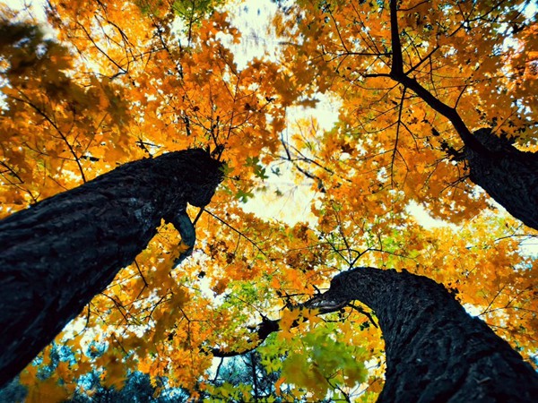 如何應對白羊座男生戀愛中的暴躁情緒