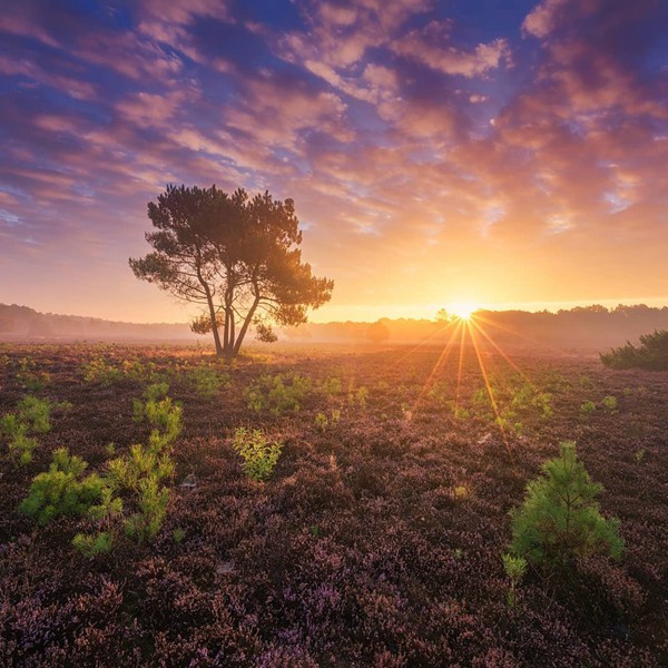 獅子座女生跟天蝎座男配嗎 