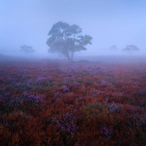 水瓶座的人會忘記你嗎？