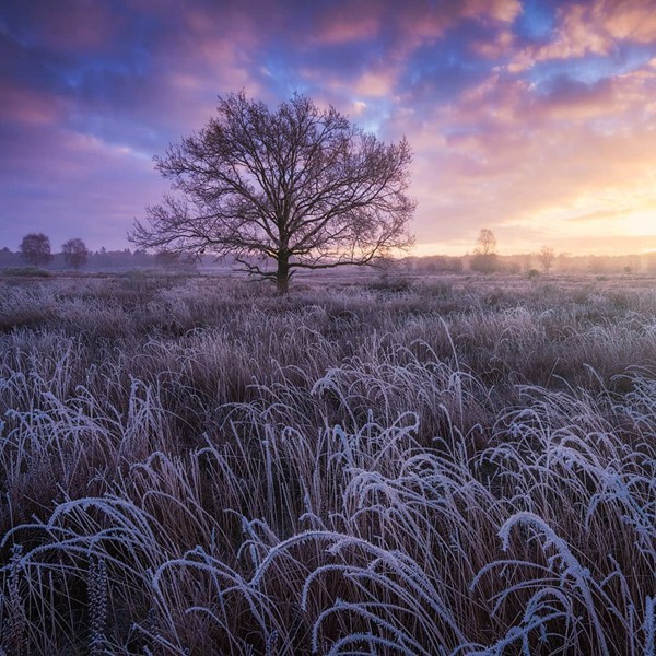 7月17日什么太陽(yáng)星座