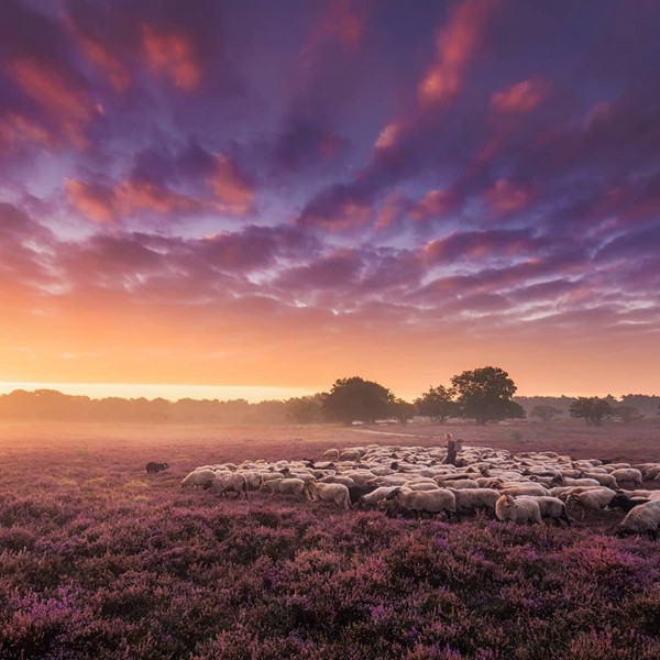 陳彩樺什么星座