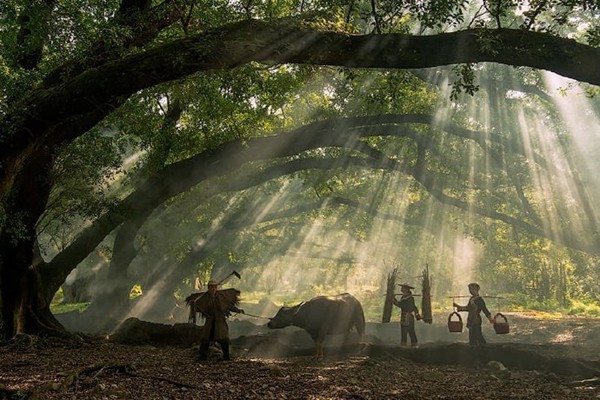 屬羊雙子座生活不規(guī)律嗎 