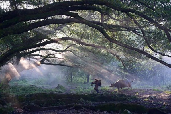 獅子座喜歡跟你拌嘴嗎？揭秘背后的星座性格