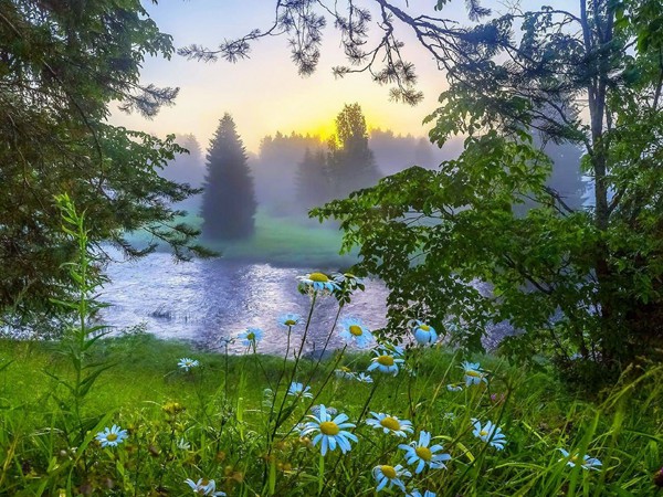 星座相性：射手座與金牛座的奇妙搭配