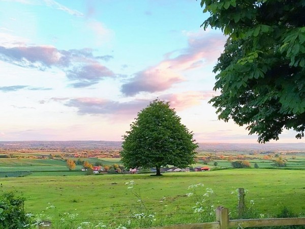 星座配對：女射手與女處女座的婚姻和諧之道